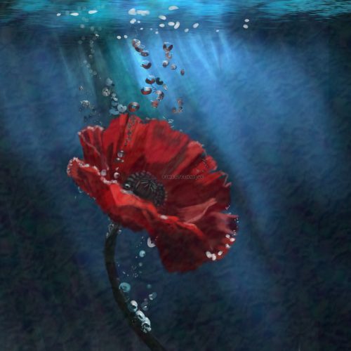 Heart of the Tide